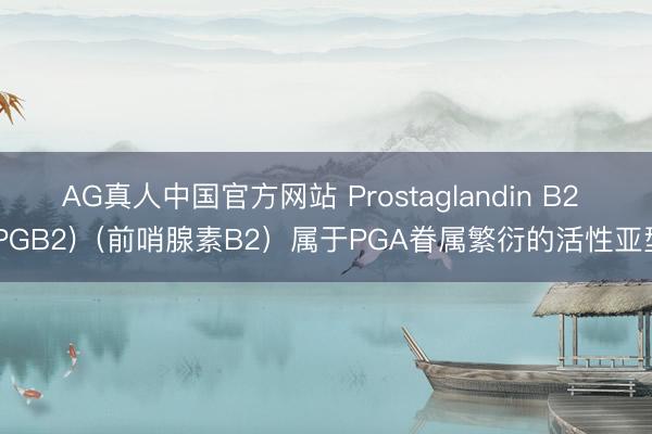 AG真人中国官方网站 Prostaglandin B2 (PGB2)（前哨腺素B2）属于PGA眷属繁衍的活性亚型