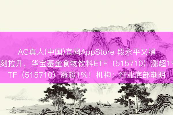 AG真人(中国)官网AppStore 段永平又捐1万股茅台！吃喝板块片刻拉升，华宝基金食物饮料ETF（515710）涨超1%！机构：行业底部渐明
