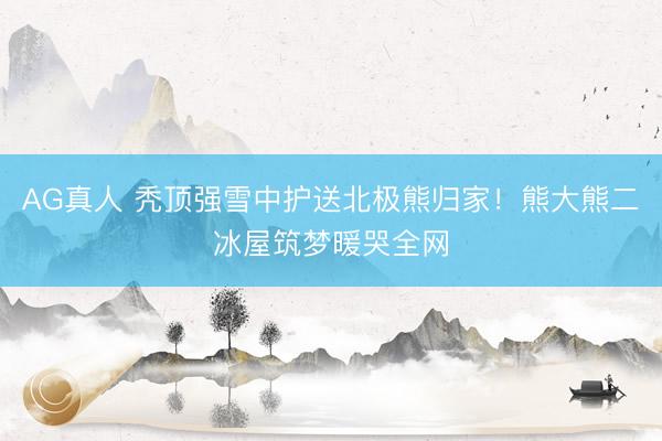 AG真人 秃顶强雪中护送北极熊归家!熊大熊二冰屋筑梦暖哭全网