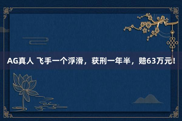 AG真人 飞手一个浮滑，获刑一年半，赔63万元！