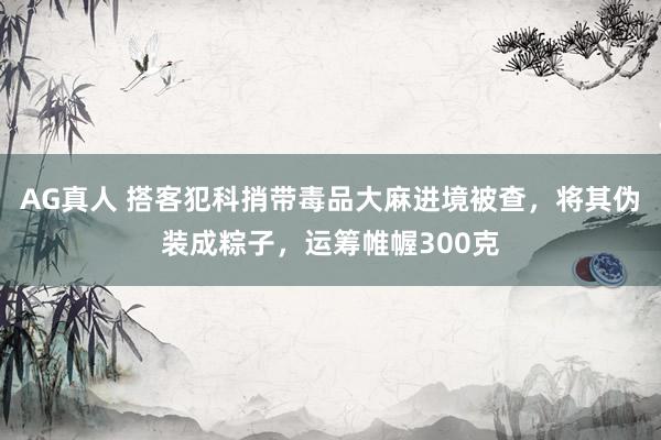 AG真人 搭客犯科捎带毒品大麻进境被查，将其伪装成粽子，运筹帷幄300克